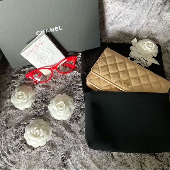 SOLD - Chanel Classic Flap Wallet on Chain WOC Light Beige BRAND NEW - Picture 3 of 7